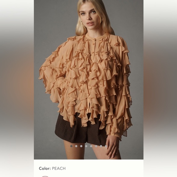NWT new large Anthropologie sheer button down ruffle long sleeve blouse top tan - Picture 1 of 17